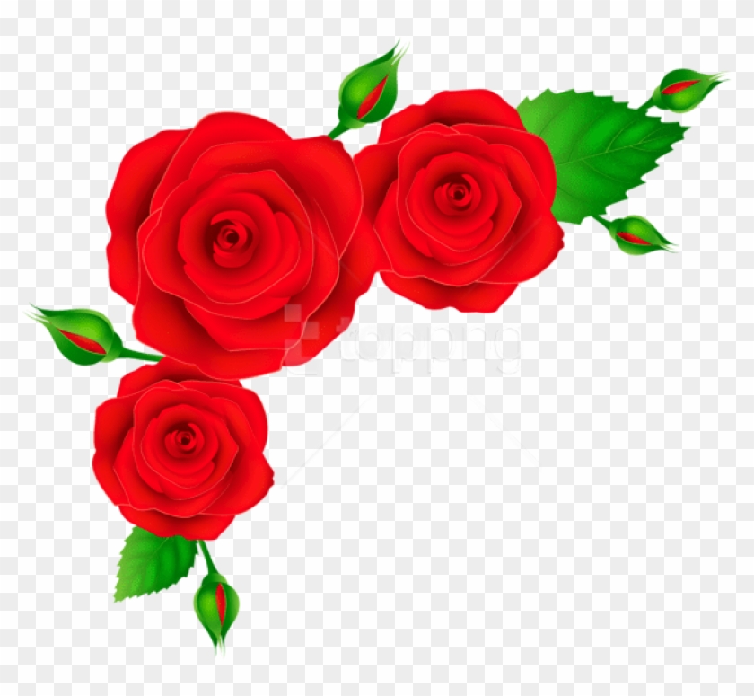 Free Png Download Red Roses Corner Transparent Clipart.