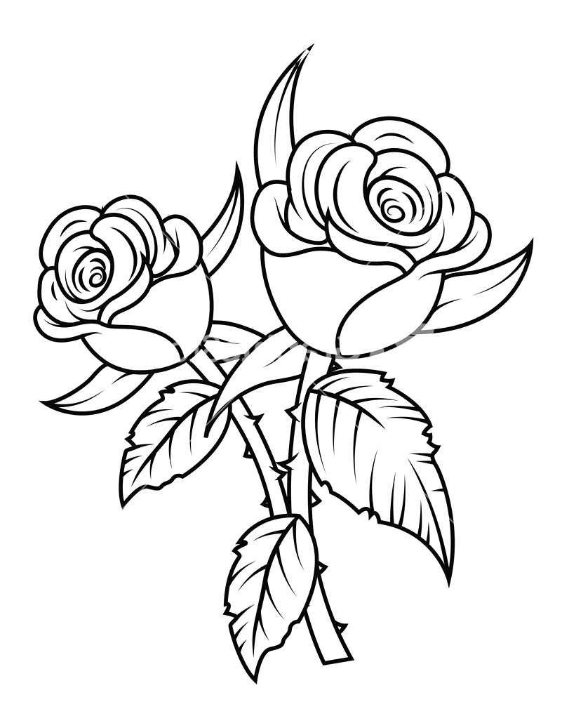 Roses black and white clipart » Clipart Station.