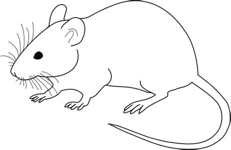 Free Rat Clipart Black And White, Download Free Clip Art.