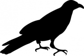 Raven Bird Clipart.