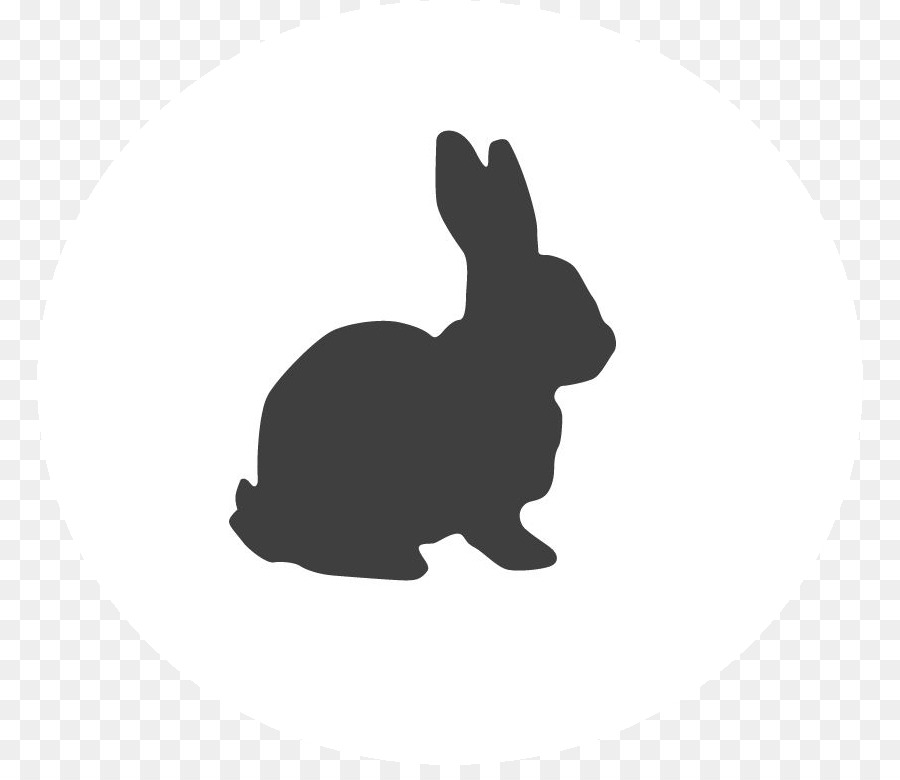 Easter Bunny Background png download.