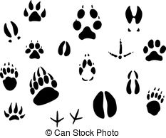 Rabbit tracks Vector Clip Art Royalty Free. 125 Rabbit tracks.