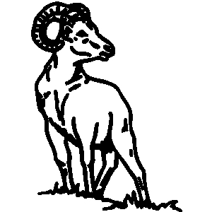 Free White Ram Cliparts, Download Free Clip Art, Free Clip.