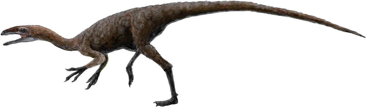 Free To Use &, Public Domain Dinosaur Clip Art.