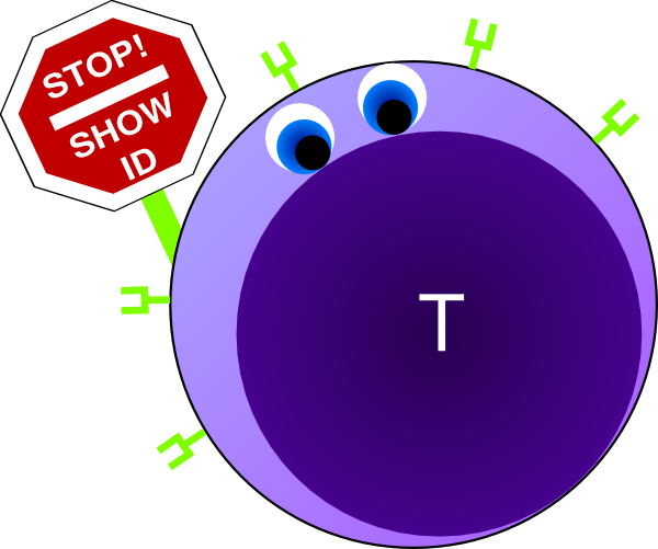 Showing post & media for Cell receptor cartoon.