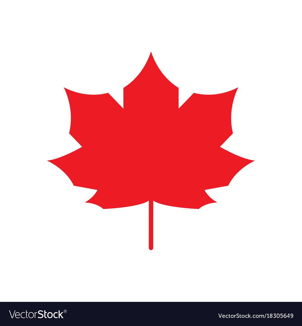 Red maple leaf icon canada symbol autumn leaves.