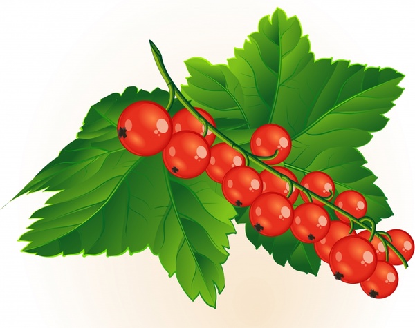 Small red berries clip art Free vector in Encapsulated PostScript.