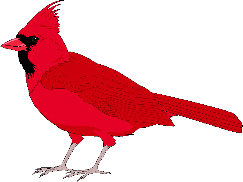 Free Red Bird Clipart, Download Free Clip Art, Free Clip Art.