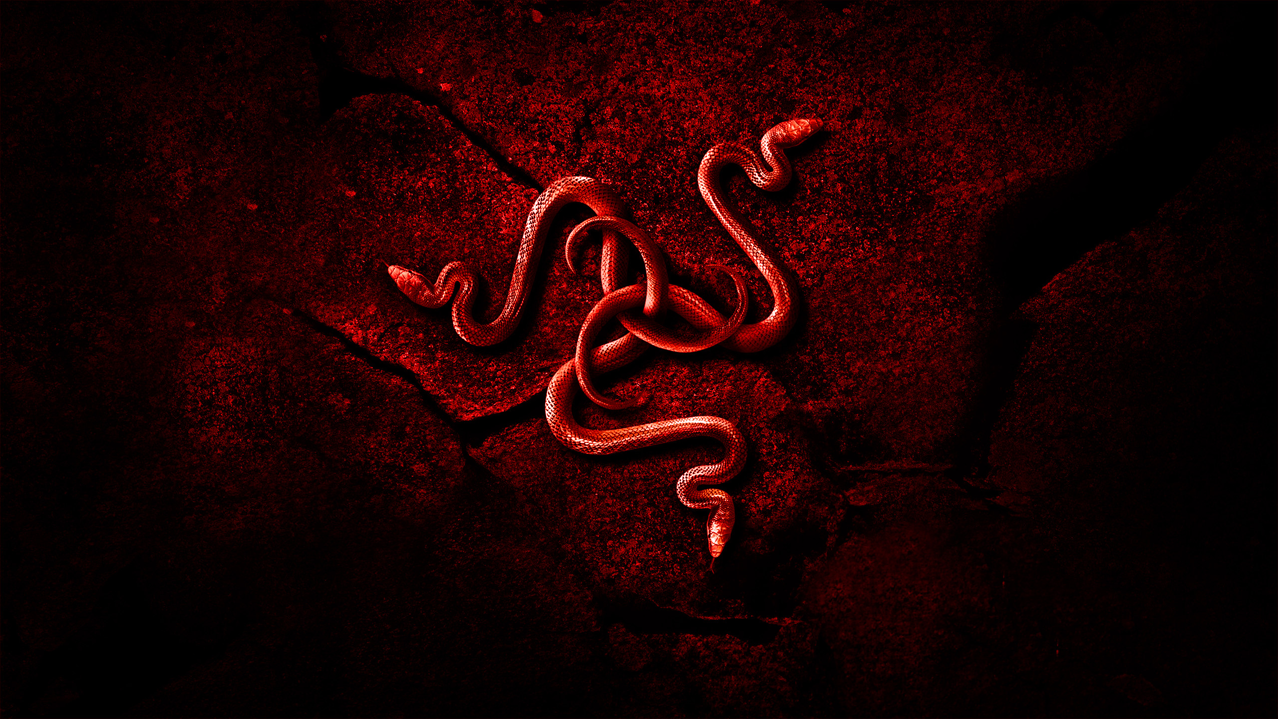 Red Razer Wallpaper HD (78+ images).