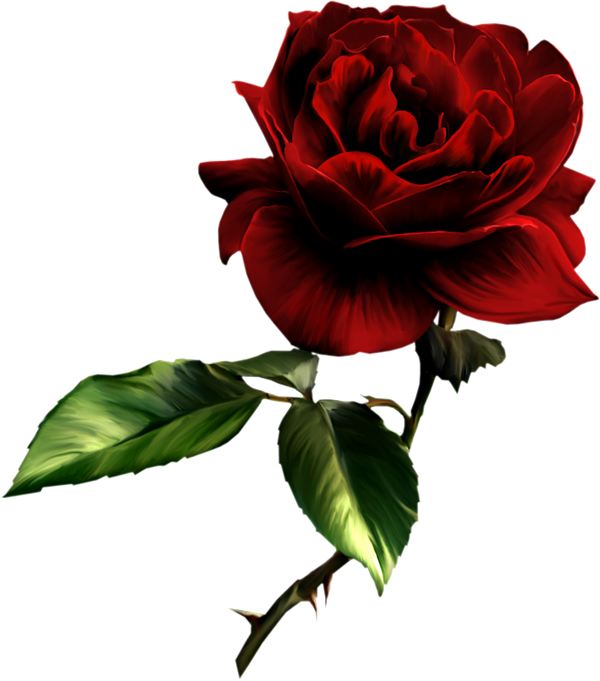 Free Roses Images Free, Download Free Clip Art, Free Clip.