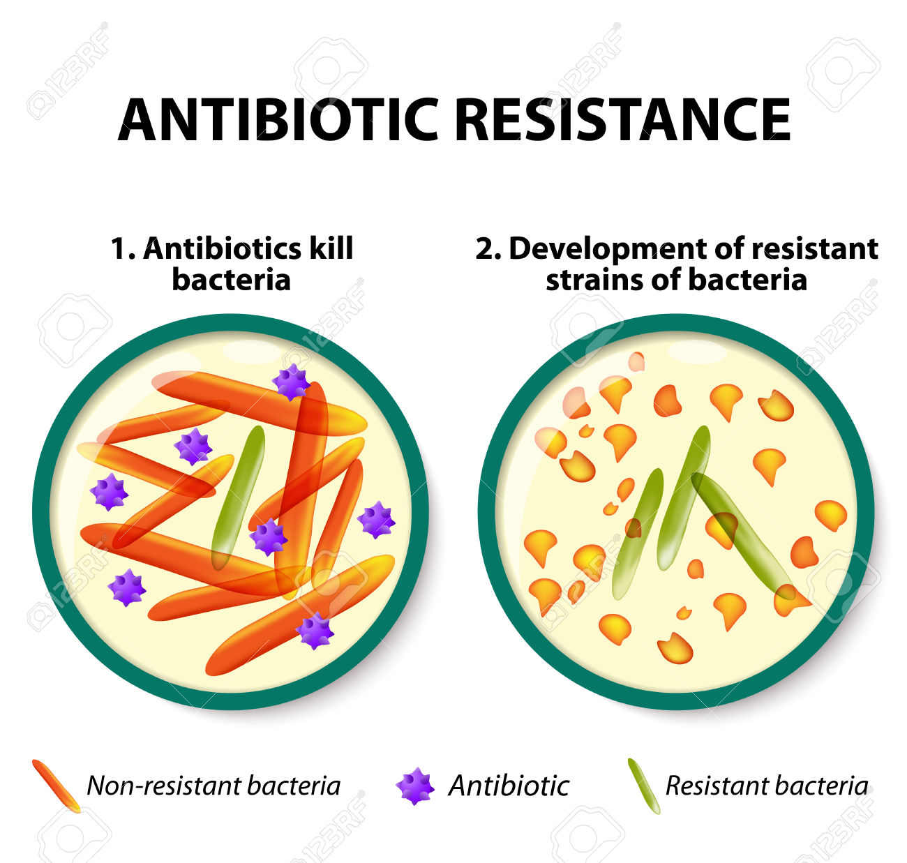 122 Microorganism Clipart.