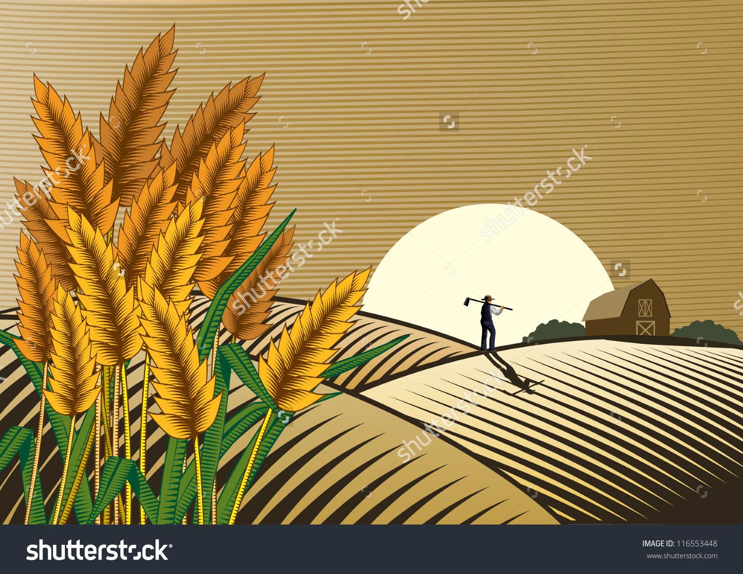 Similiar Rice Field Clip Art Keywords.