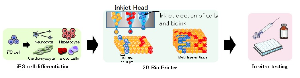 Ricoh, Elixirgen Scientific form biomedical venture, meld.