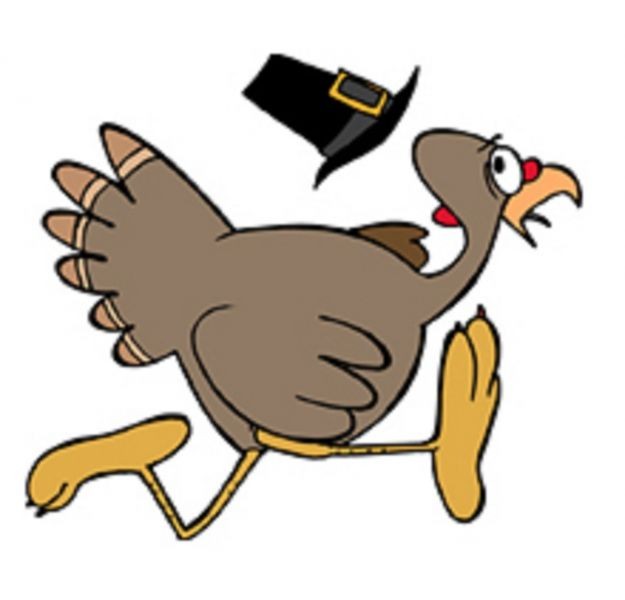 Turkey getting run over by a car clipart.