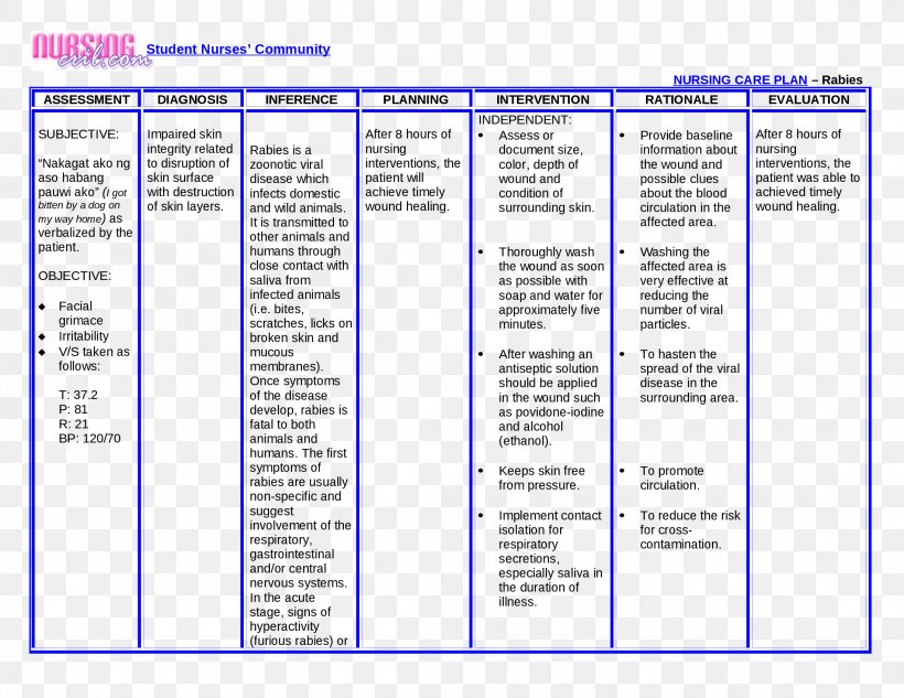 Nursing Interventions Classification Nursing Care Plan.