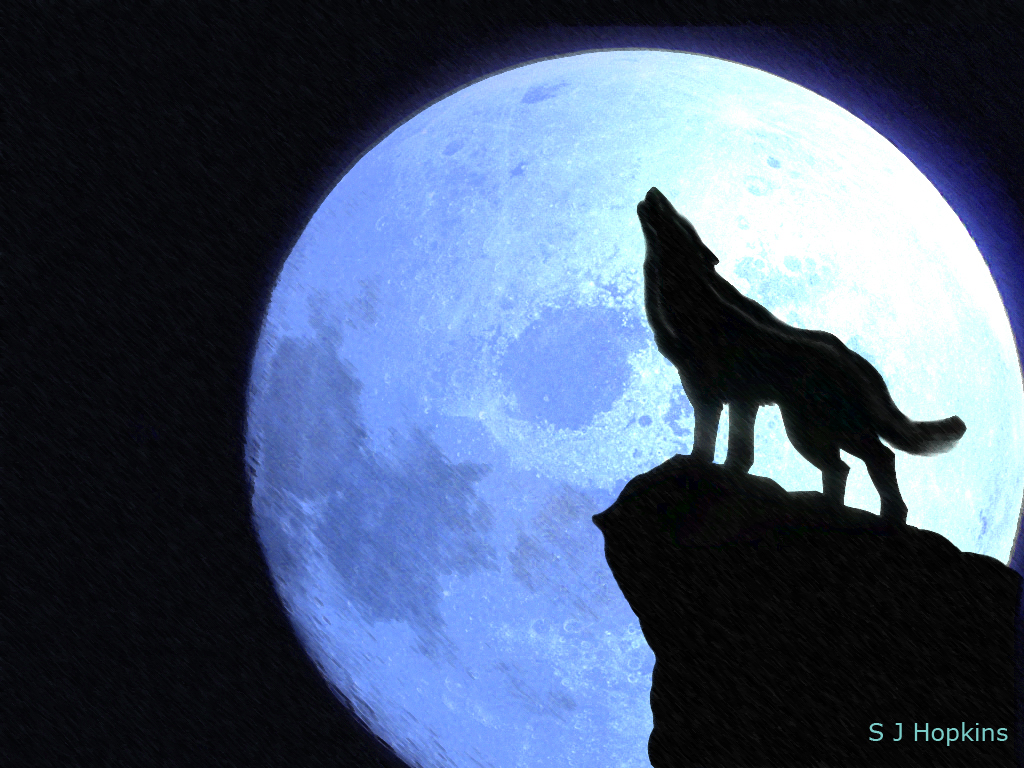 Coyote Howling At The Moon Clipart.