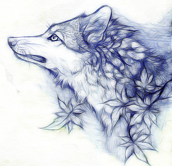 Free Wolf Drawings, Download Free Clip Art, Free Clip Art on.