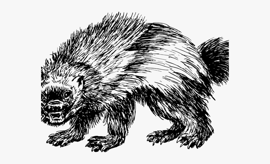 Animal Clipart Wolverine.