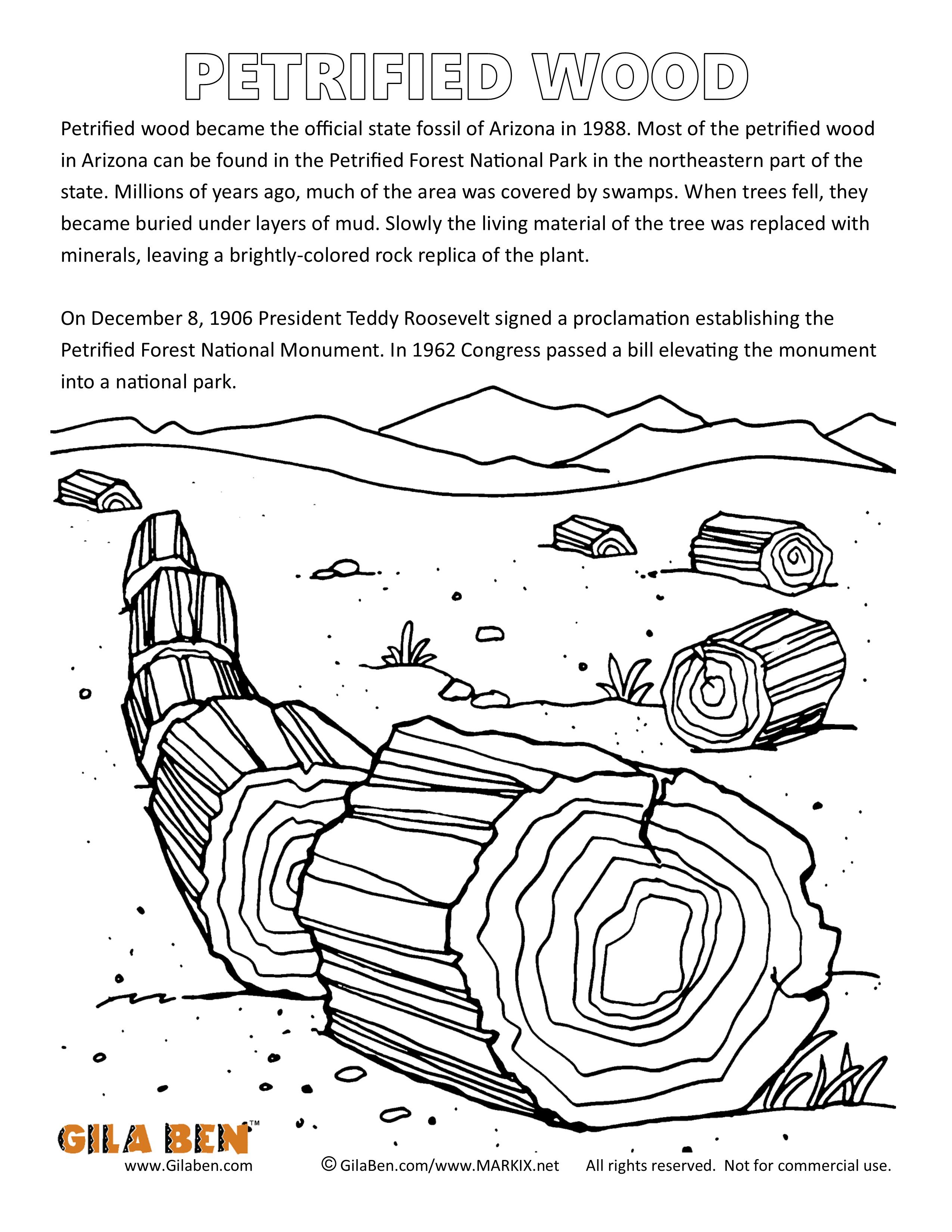 Arizona State Fossil Coloring Page.