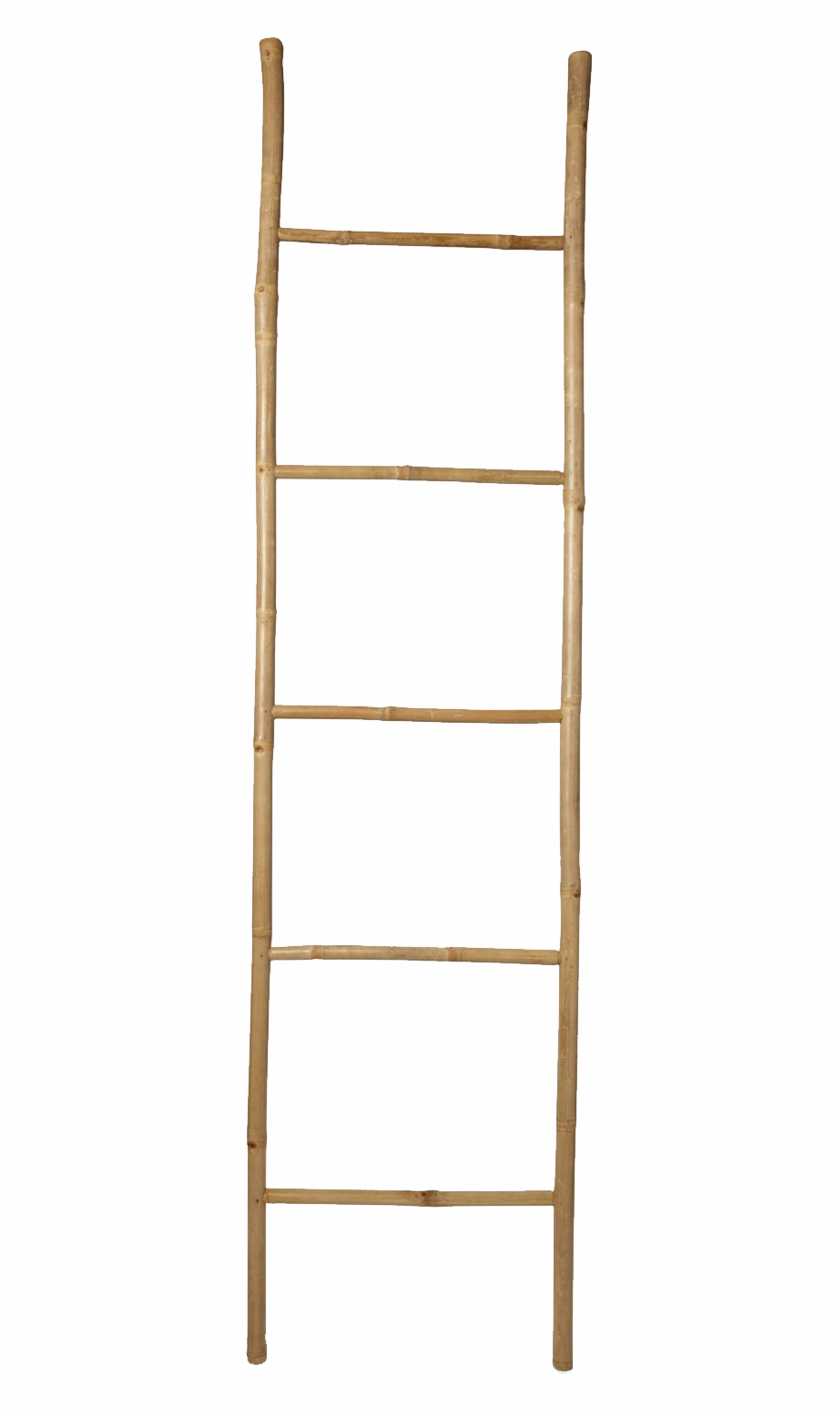 Wood Ladder Png.