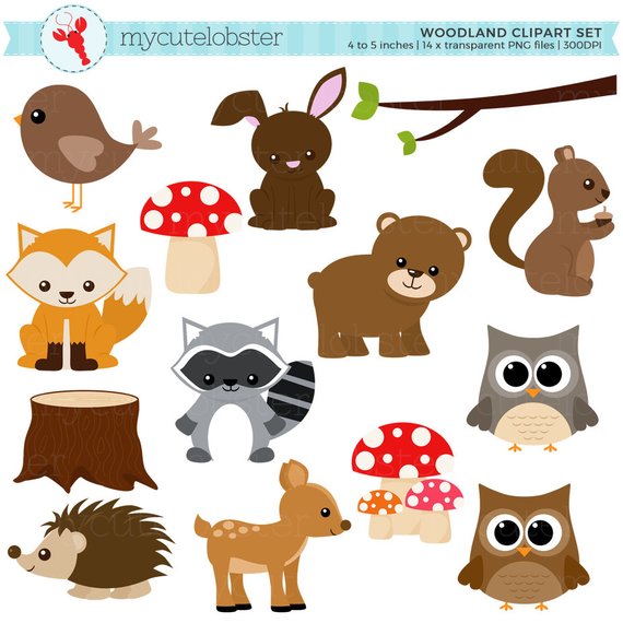 Woodland Clipart Set.