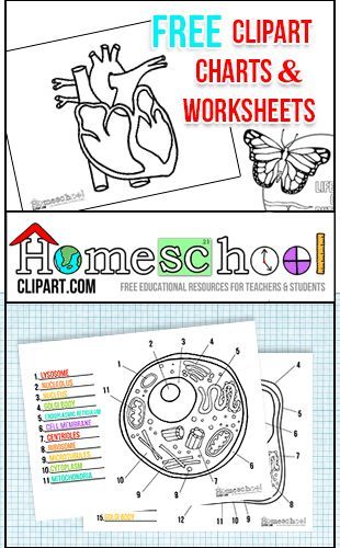 Free Clipart, Charts & Worksheets at http://HomeschoolClipart.com.