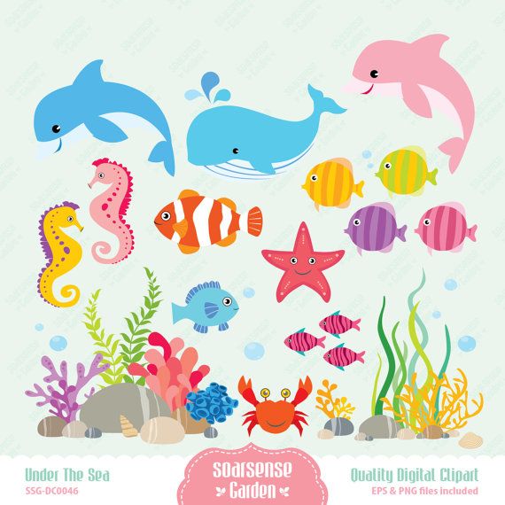 Sea world animals and corals clipart hd.