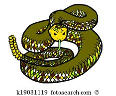 Water moccasin Clip Art and Illustration. 2 water moccasin clipart.