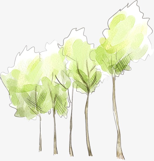 Fresh Hand Painted Watercolor Tree, Watercolor Clipart, Tree.