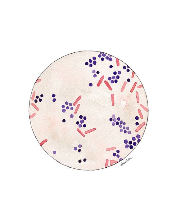 Gram Stain QC, bacteria, bacteria art, science, science art.