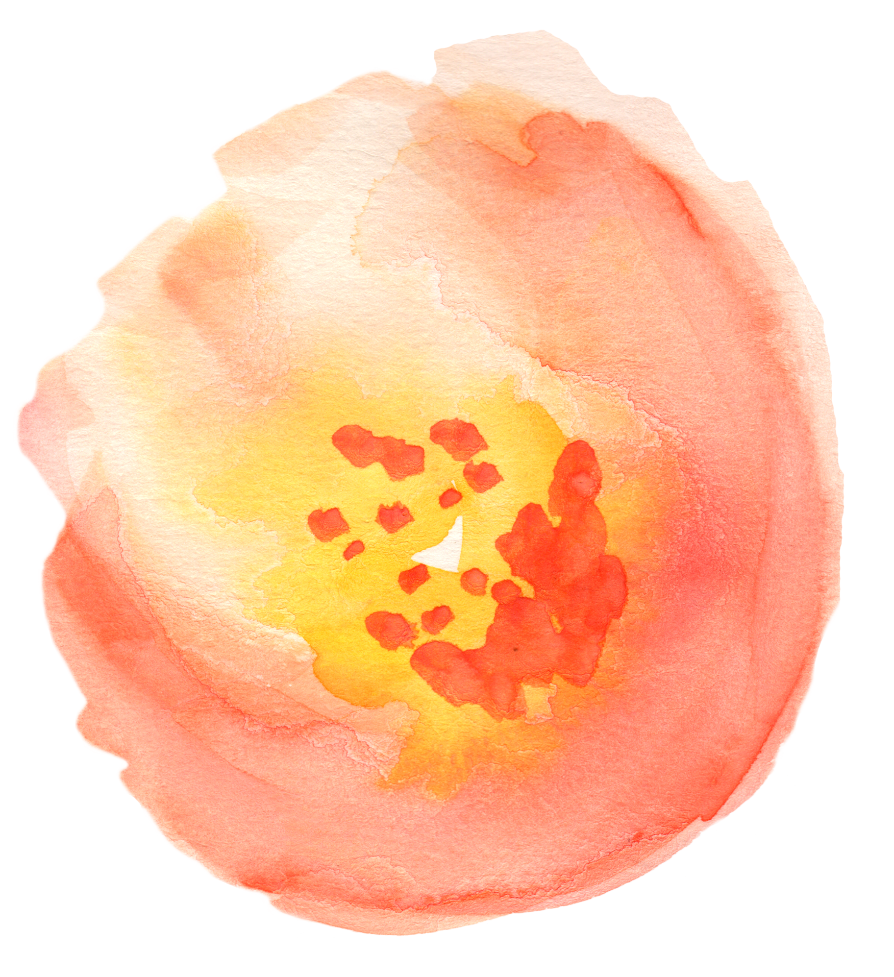 Peaches clipart watercolor, Peaches watercolor Transparent.