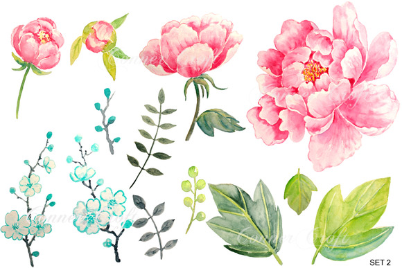 Free Watercolor Peonies Png, Download Free Clip Art, Free.