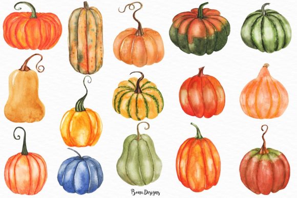 Watercolor Pumpkin Clipart Set.