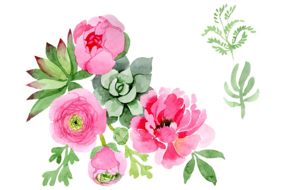 Flowers Ranunculus Watercolor.