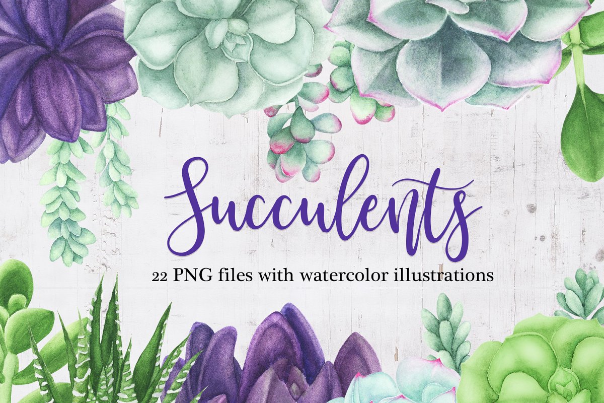 Watercolor Succulents Clipart.