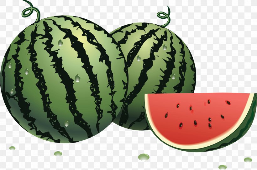 Watermelon Clip Art, PNG, 3528x2346px, Watermelon, Berry.