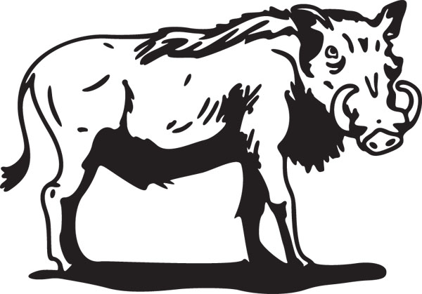 Warthog Graphic Mammal Art For Custom Gifts & Products.