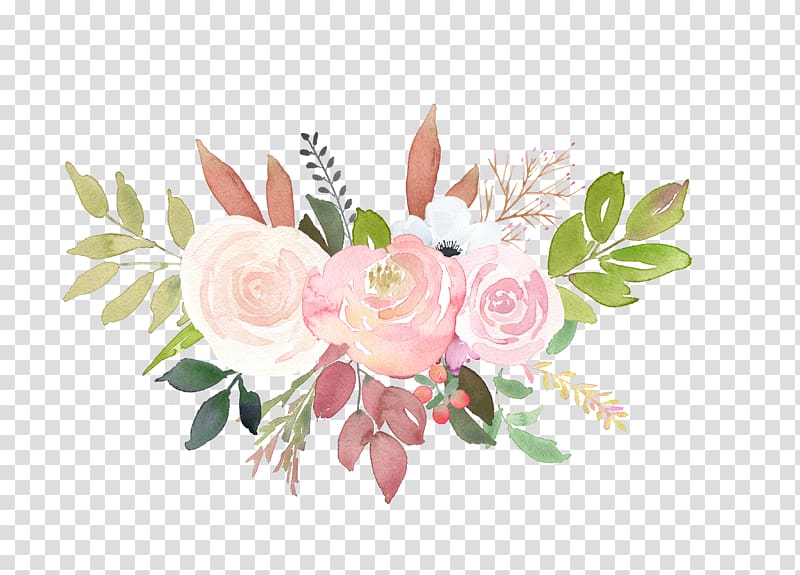 Pink and white petaled flower illustration, Garden roses.