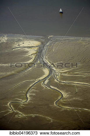 Stock Photo of Tidal creeks at low tide on Halbkalbsand island in.