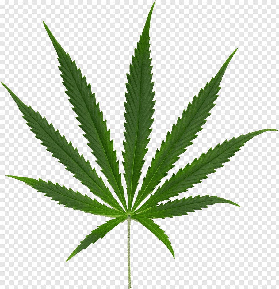 Cannabis Smoking cutout PNG & clipart images.