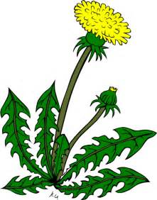 Similiar Garden Weed Clip Art Keywords.