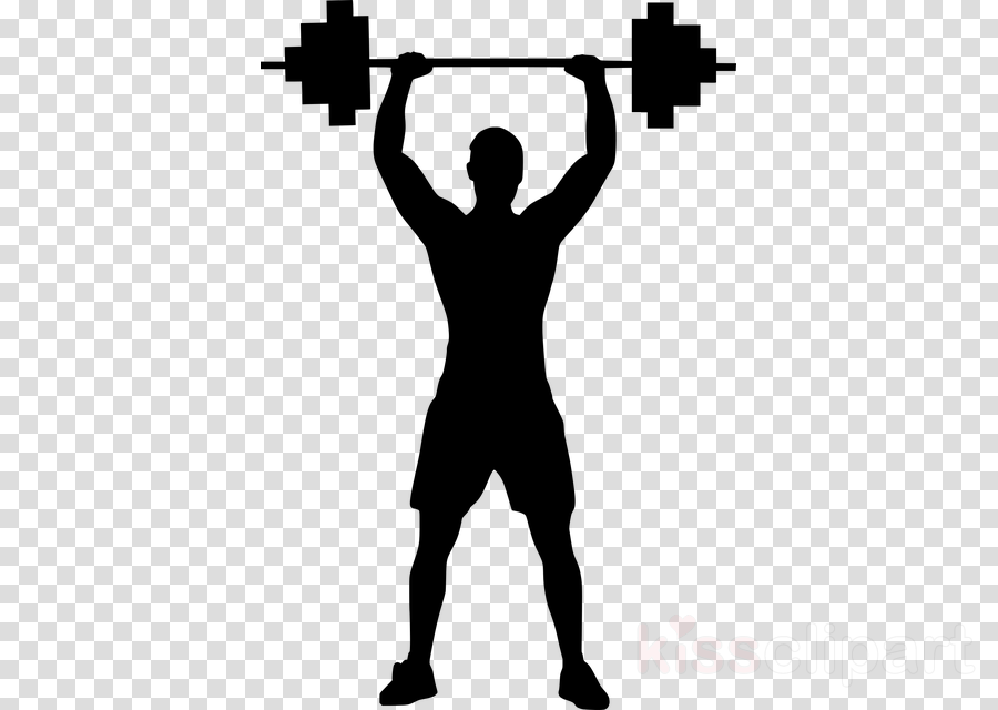 bodybuilding standing weightlifting muscle barbell clipart.