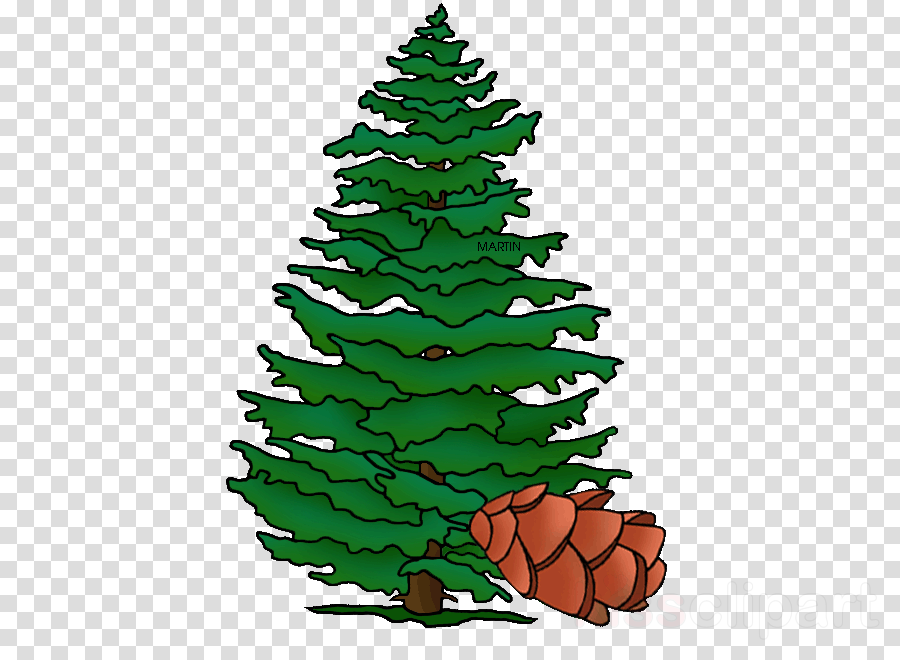 Download hemlock tree clipart Christmas tree Pine Spruce.