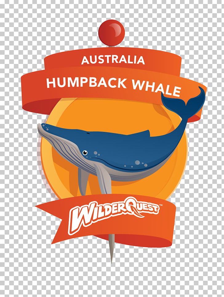 Logo Humpback Whale Cetacea PNG, Clipart, Brand, Cetacea.