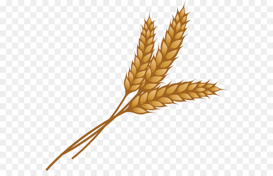 Wheat vector transparent cartoon png files, Free CLip Art.