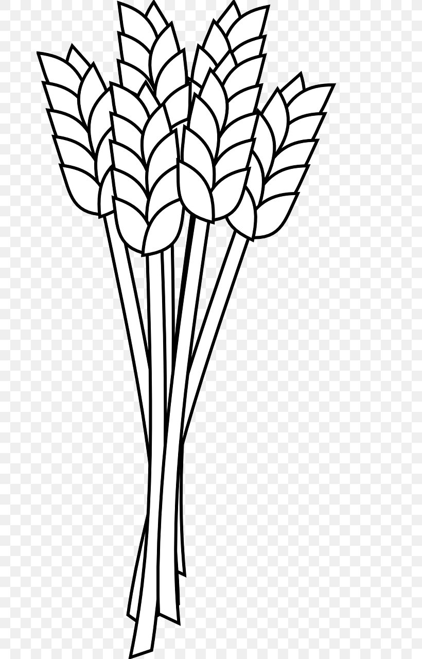 Wheat Flour Coloring Book Whole Grain Clip Art, PNG.