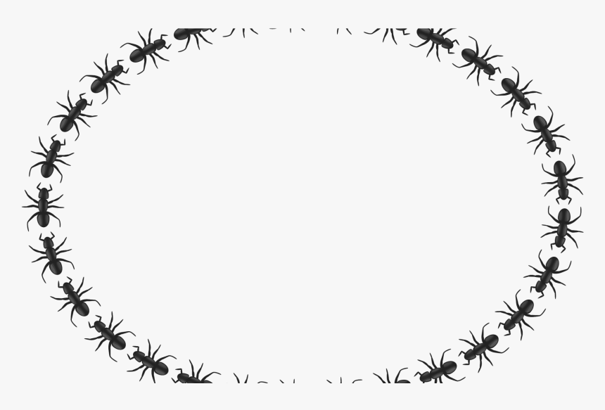 Transparent Ant Clipart.