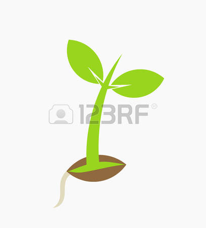 12,690 White Bean Stock Illustrations, Cliparts And Royalty Free.