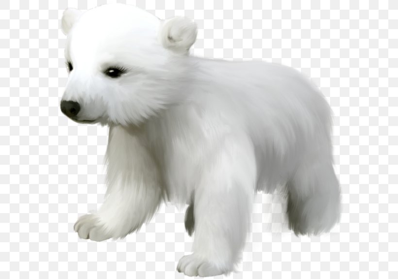 Polar Bear Clip Art, PNG, 600x576px, Polar Bear, Baby Polar.