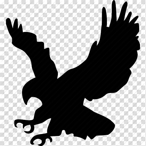 Silhouette of eagle illustration, Bald Eagle Bird Golden.